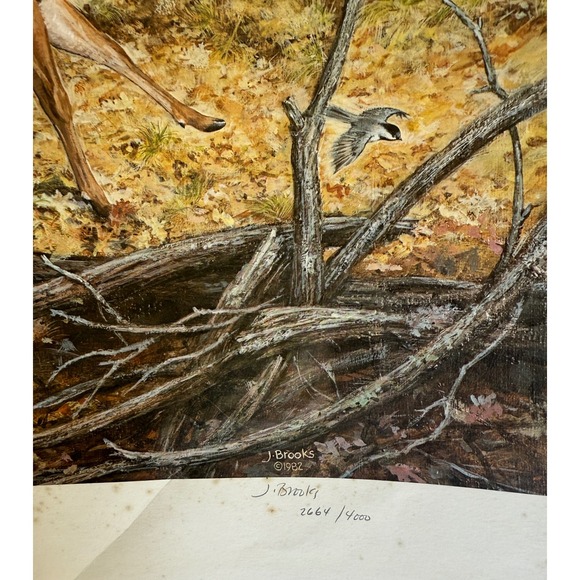 Signed J. Brooks Whitetail Deer Limited Edition Print 2664/4000 Wildlife art - Picture 2 of 2